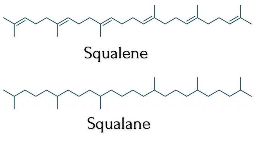 Squalane.jpg