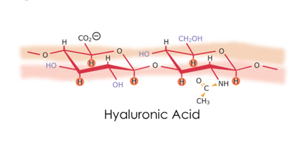 nhung-dieu-it-biet-ve-hyaluronic-acid-than-thanh_600x400px-2.png