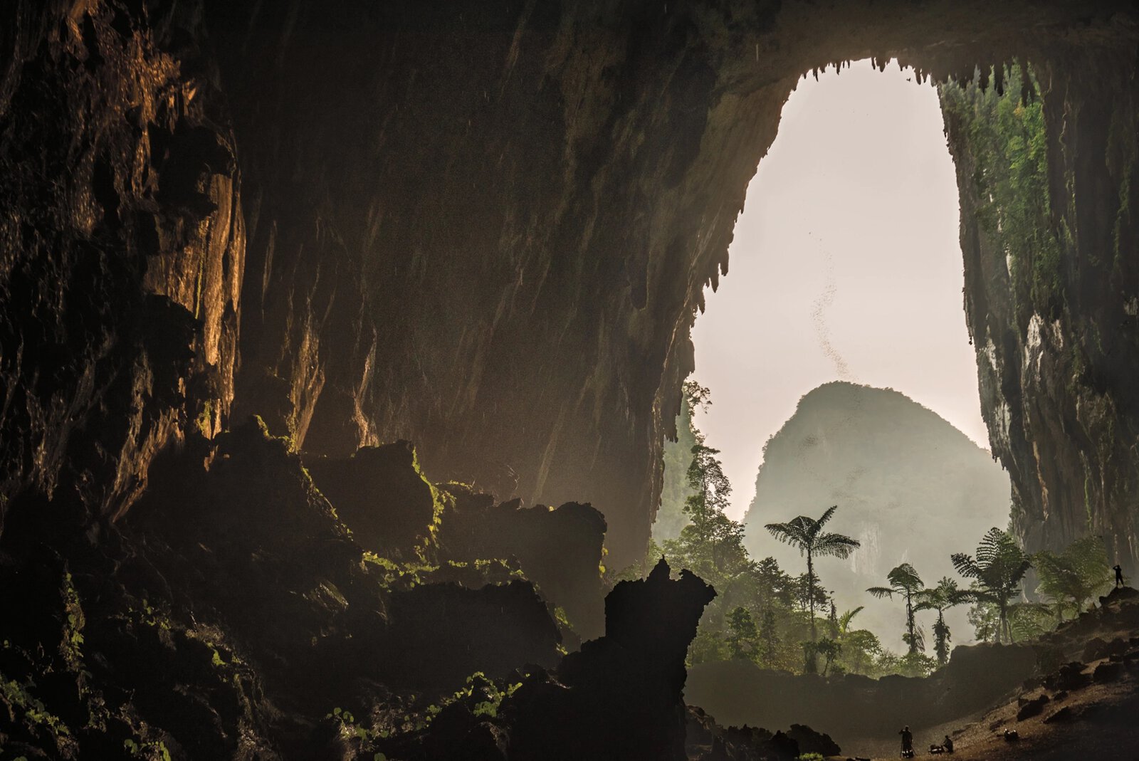 Bên dưới rừng mưa của hòn đảo, các nhà thám hiểm tìm kiếm những phát hiện mới ẩn sâu bên trong một số hang động lớn nhất, dài nhất và hoang dã nhất Trái Đất.
