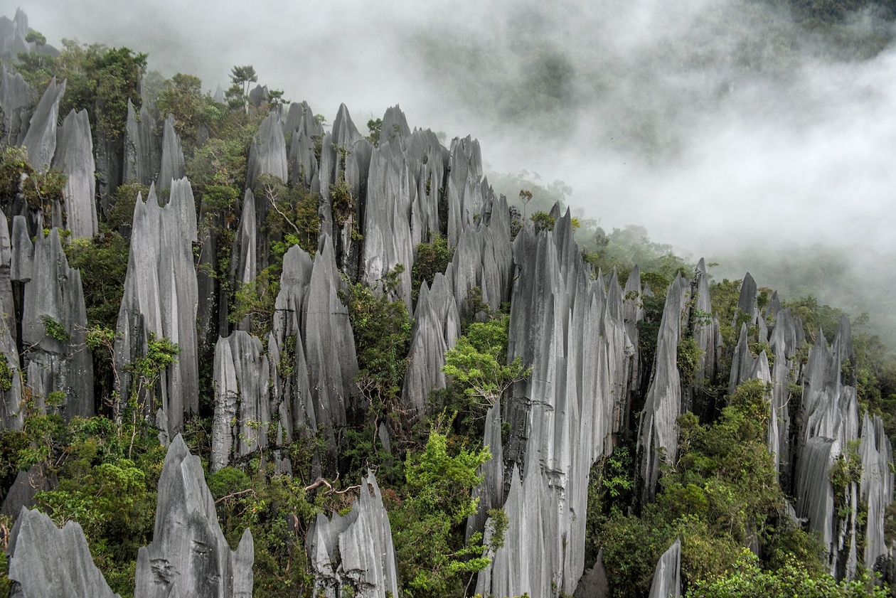 Các đỉnh núi đá vôi đâm xuyên qua thảm thực vật sum suê gần trung tâm Vườn Quốc gia Gunung Mulu của Malaysia. Đặc điểm của hiện tượng phong hoá karst bị bào mòn từ các nền đá vôi dày qua hàng trăm ngàn năm này gợi liên tưởng đến các hang động ngầm ở thế giới siêu nhiên.