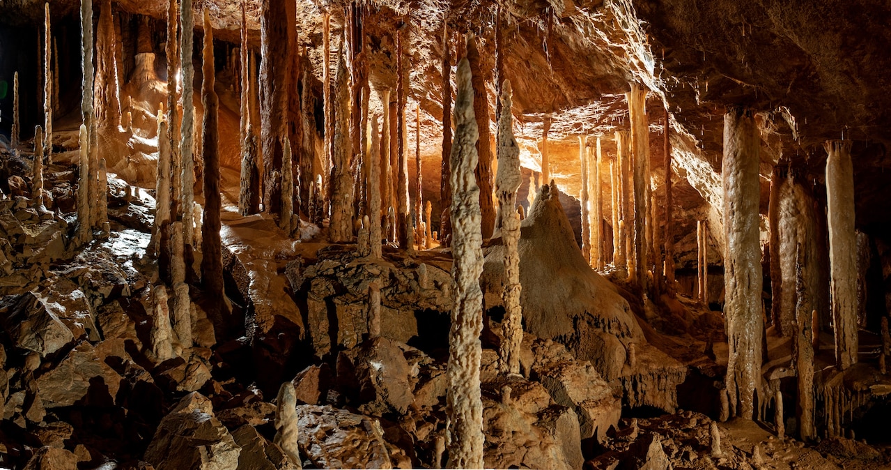 Những dãy măng đá dày đặc mọc lên từ bờ trầm tích nhạt màu trong Rừng Say – hang động được đặt tên do có kết cấu các góc nghiêng lạ thường. ẢNH TOÀN CẢNH TỪ 4 ẢNH ĐƠN
