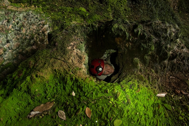 Trưởng đoàn thám hiểm Andy Eavis chui vào một cửa hang nhỏ phủ đầy rêu. Ông đã nghiên cứu và khám phá hệ thống hang bên dưới Vườn Quốc gia Gunung Mulu từ năm 1979.