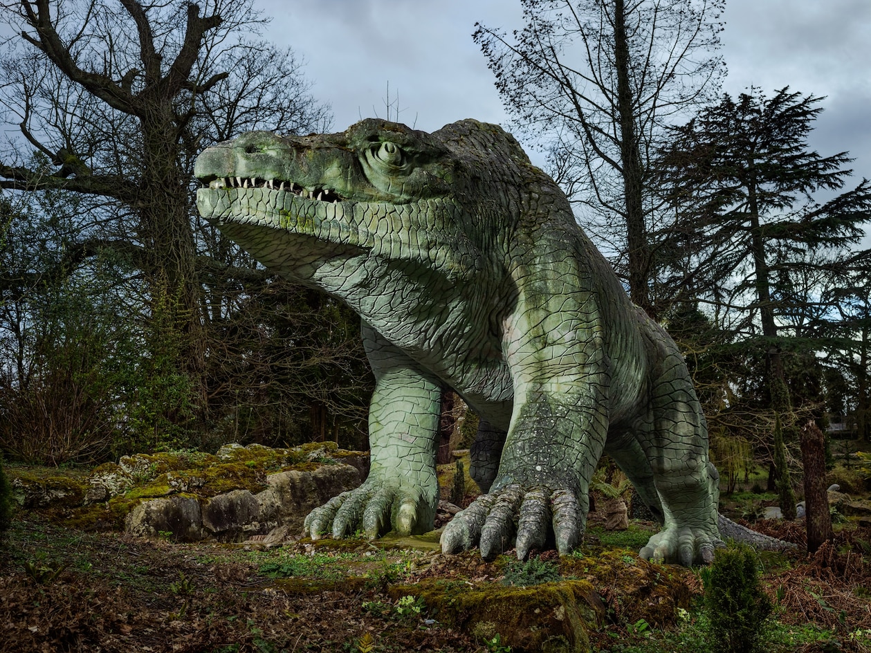 Khoảng 166 triệu năm trước tại khu vực hiện nay là hạt Oxfordshire, Anh, mặt đất rung chuyển cùng tiếng bước chân của loài khủng long đầu tiên được khoa học mô tả, Megalosaurus. Khi con vật này được điêu khắc cho Công viên Cung điện Pha Lê ở London những năm 1850 (ảnh trên), nghệ nhân đã kham thảo gợi ý từ cá sấu hiện đại. Các nhà khoa học giờ đây biết được loài khủng long này đi bằng hai chân (ảnh dưới).