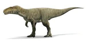 reimagining-dinosaurs-megalosaurus-reconstruction.jpg