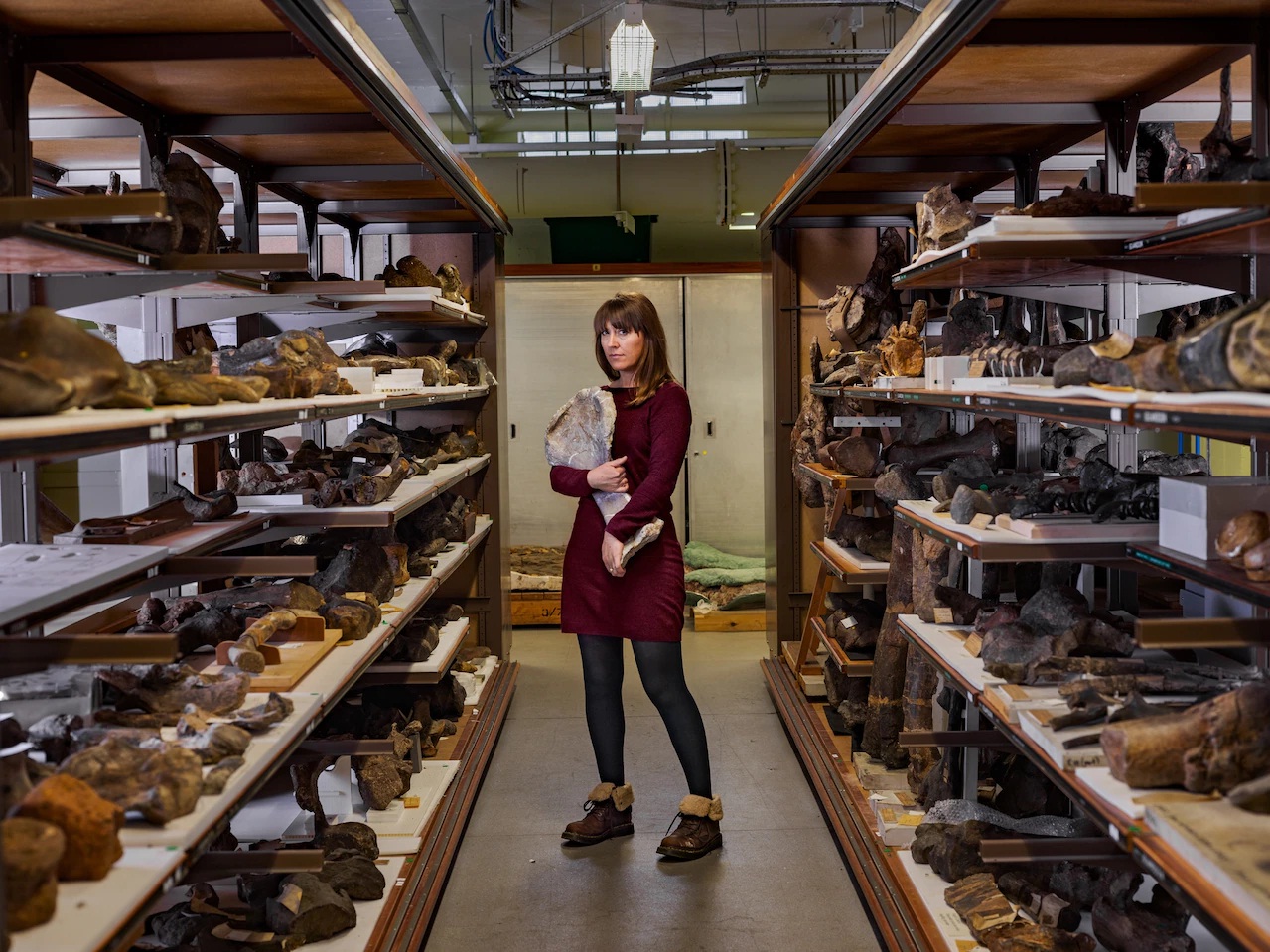 Ngoài tổ chức trưng bày, các bảo tàng cũng bảo quản và nghiên cứu nhiều hoá thạch. Bảo tàng Lịch sử Tự nhiên Anh lưu giữ những mảnh xương được coi là duy nhất của Adratiklit, loài khủng long mái cổ nhất từng khám phá. Năm 2019, một nhóm do giám tuyển Susannah Maidment dẫn đầu đã tuyên bố Adratiklit thuộc một chi mới, một phần dựa trên xương cánh tay cô đang cầm ở đây.