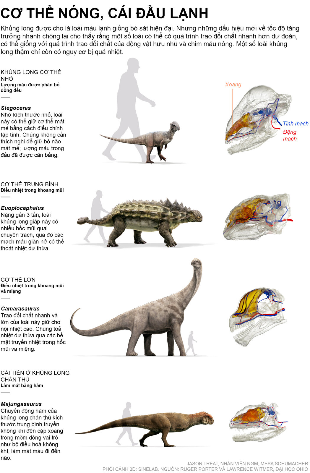ngm-2010-reimagining-dinosaurs-digital_two_ai2html-desktop-small.jpg