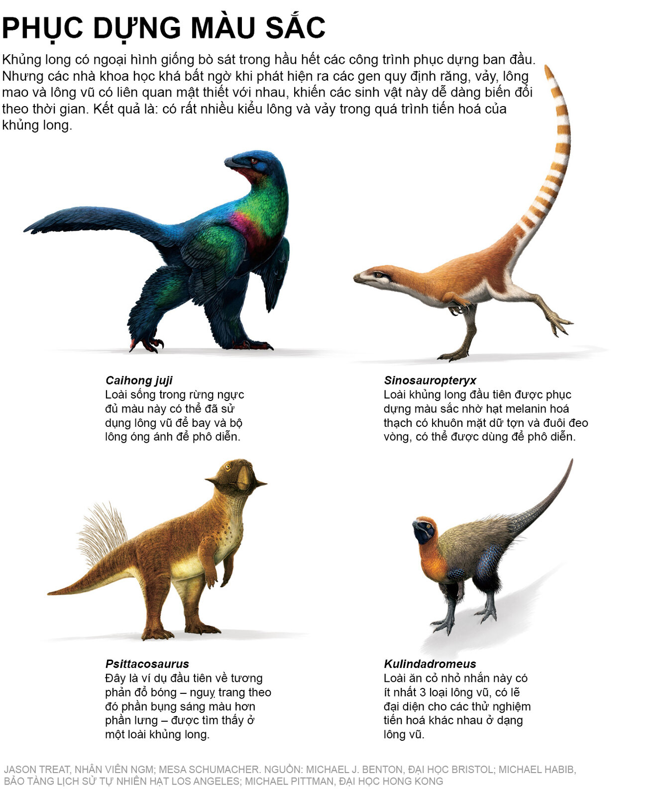ngm-2010-reimagining-dinosaurs-digital_three_ai2html-desktop-small.jpg