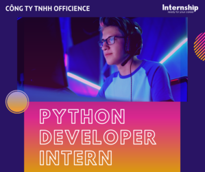 INT - OFFICIENCE - Python Developer Intern (3).png
