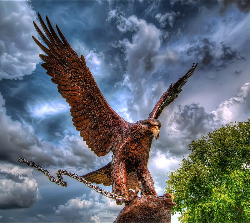 HD-wallpaper-eagle-sky.jpg