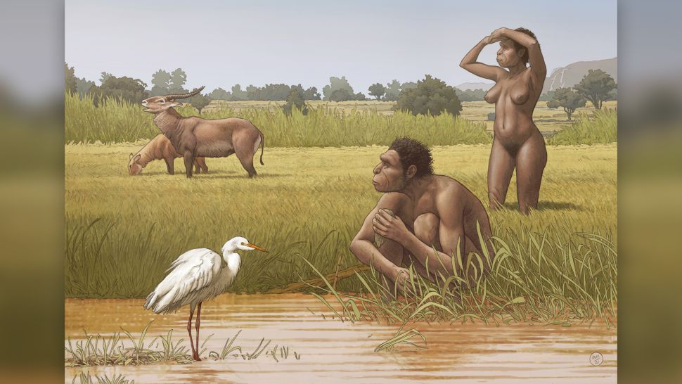 Loài Homo bodoensis mới đặt tên (tổ tiên của loài người) sống ở châu Phi vào giữa thế Canh tân. Ảnh: Ettore Mazza.