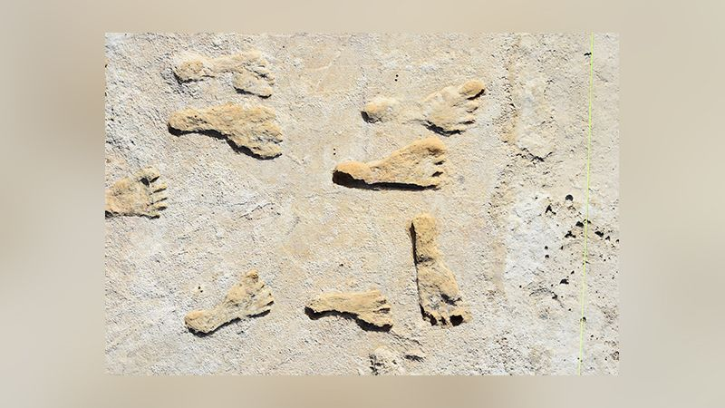 Giới nghiên cứu đã phát hiện thấy 60 dấu chân người hoá thạch ở Vườn Quốc gia White Sands phía nam trung tâm New Mexico. Ảnh: Cục Vườn Quốc gia Hoa Kỳ, USGS và Đại học Bournemouth.