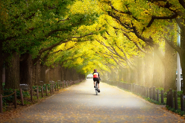Tokyo là một thành phố tuyệt vời để khám phá bằng xe đạp. Ảnh: Patrick Foto / Shutterstock.
