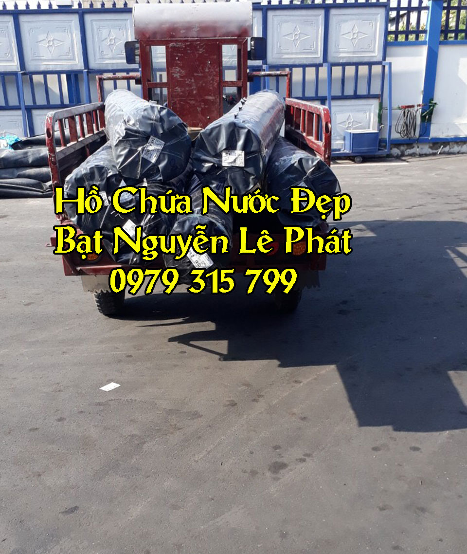 bat-nhua-hdpe-nlp2-nguyenlephat1.jpg