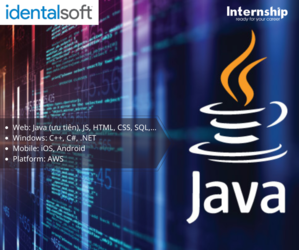 INT - iDentalsoft - Java Developer.png