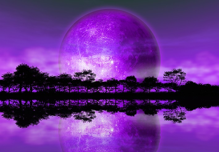 rising-moon-purple-planet-wall-mural-1813-p.jpg