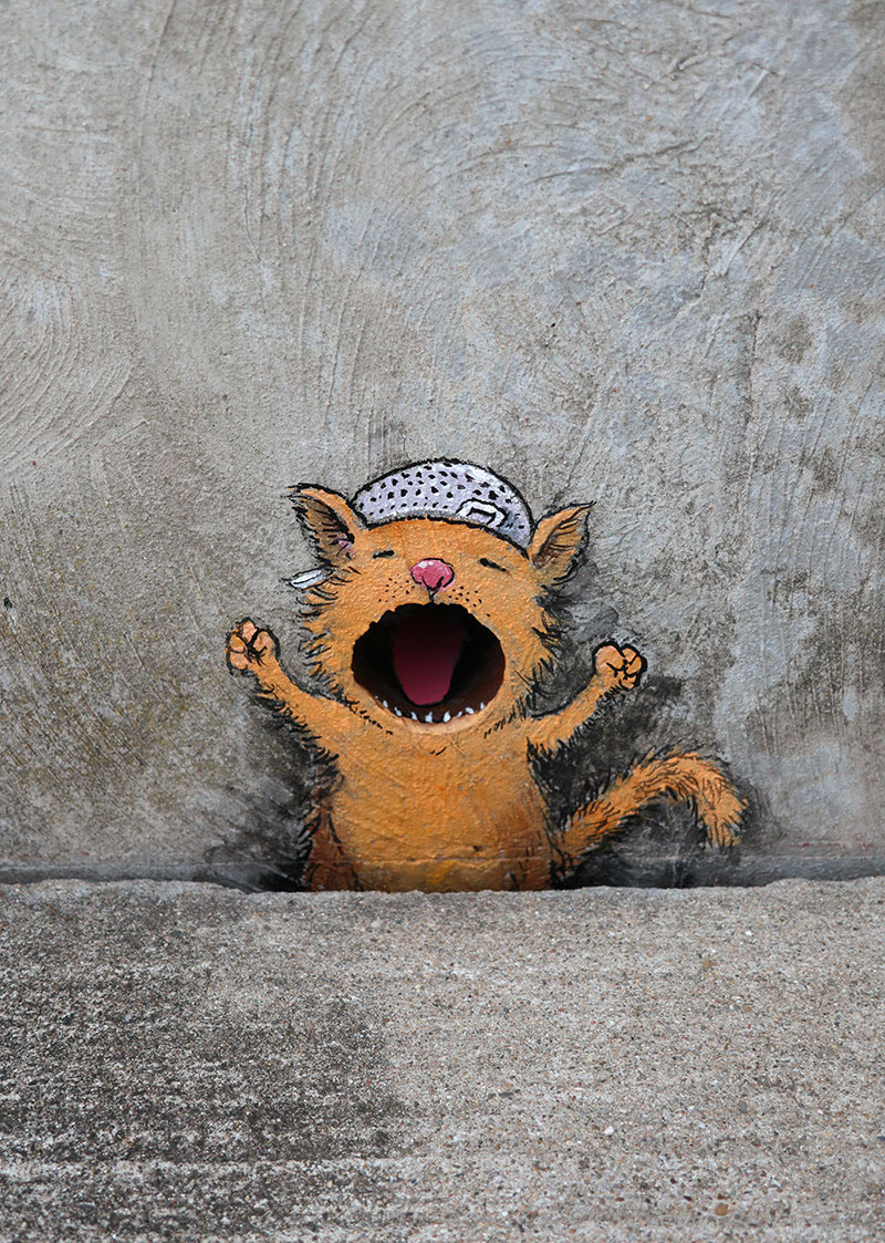 colander_shout_cat_tallcrop_lores-800x1123.jpg