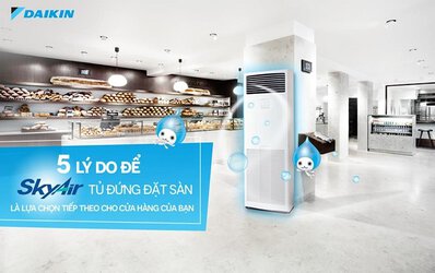 điều hòa cây Daikin.jpg