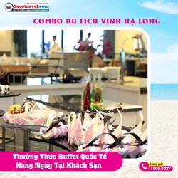 COMBO NGHỈ DƯỠNG DU LỊCH HẠ LONG 2.jpg