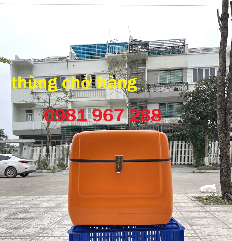 Thùng chở hàng sau xe máy.jpg