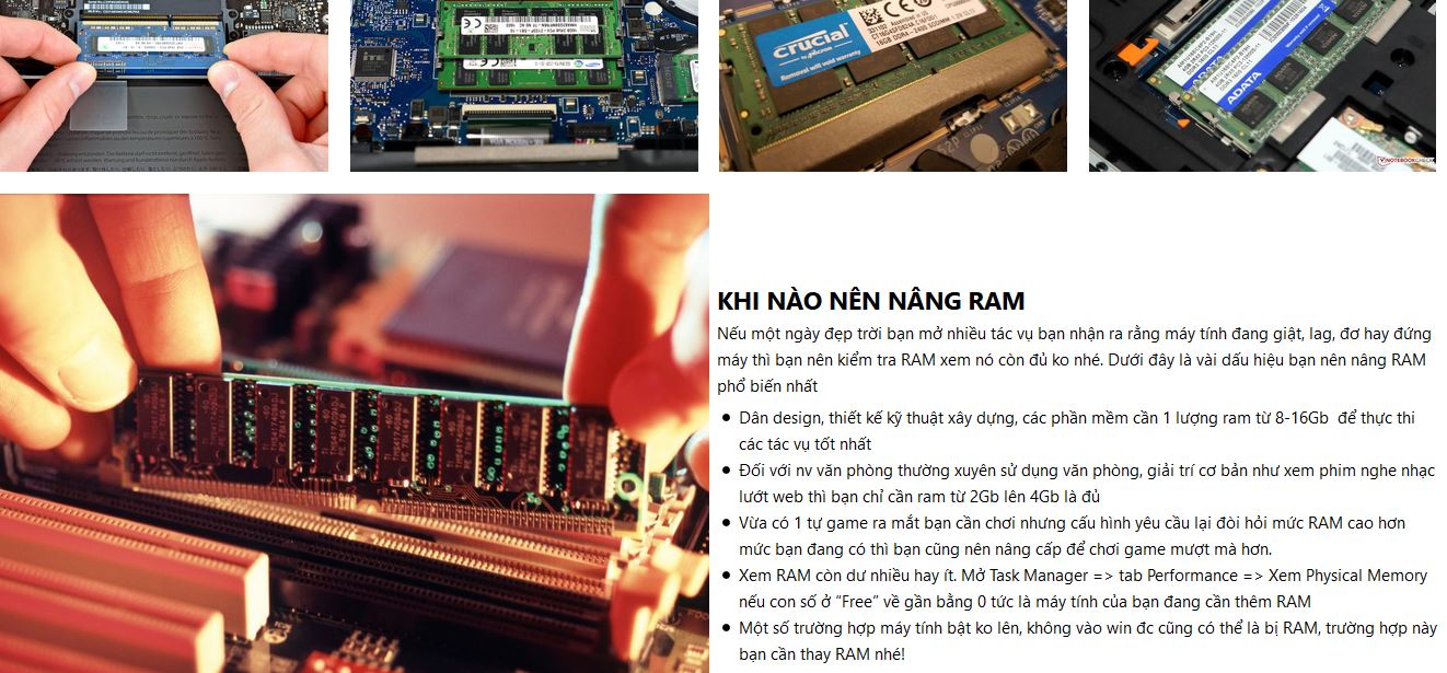 ram.JPG ram.JPG