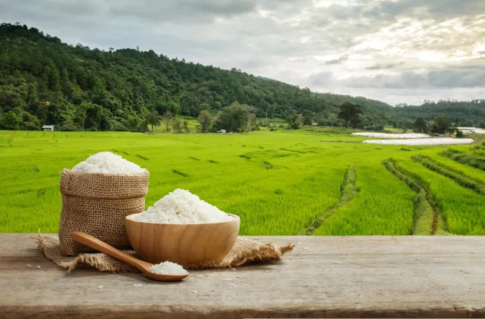 Lúa gạo ở Thái Lan quan trọng đến mức bản thân lương thực thường được gọi là “gạo” hoặc “với gạo”. Ảnh: Asian Geographic.