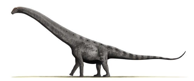 Ảnh phục dựng giả định khủng long Argentinosaurus huinculensis. Ảnh: Nobu Tamura.