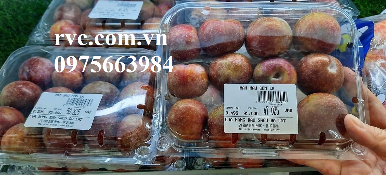 Toàn quốc - Hộp nhựa trái cây 500g phổ biến nhất hiện nay  344852_Hop_dung_man_07