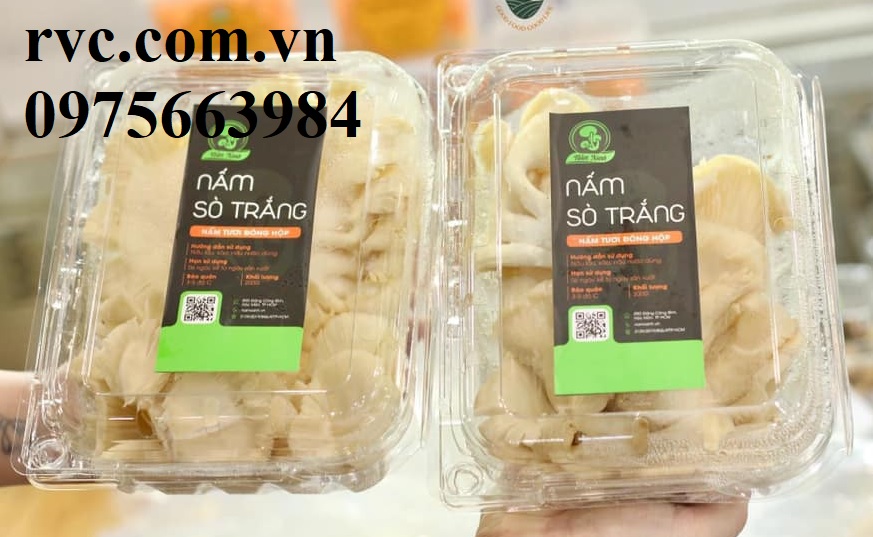 Toàn quốc - Hộp nhựa trái cây 500g phổ biến nhất hiện nay  344854_Hop_dung_nam_14