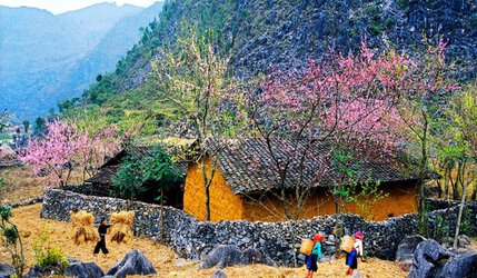 ha giang 5.jpg