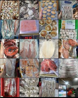 2155632a975f55010c4e.jpg 2155632a975f55010c4e.jpg