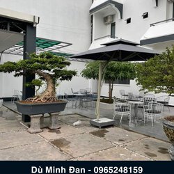 kiểu dù lệch tâm vuông 3m ..jpg