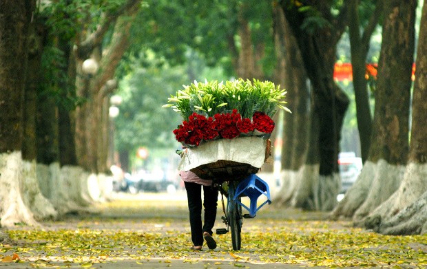 di-choi-1-minh-thi-nen-di-dau-o-ha-noi.jpg di-choi-1-minh-thi-nen-di-dau-o-ha-noi.jpg