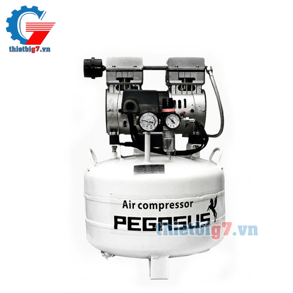 may-bom-hoi-khong-dau-giam-am-pegasus-1hp-40l.jpg