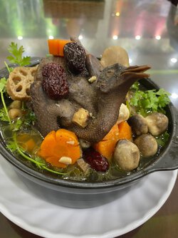 Bồ Câu Hầm Thuốc Bắc.jpg