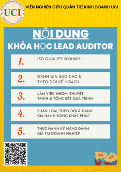 lead-auditor-2.png