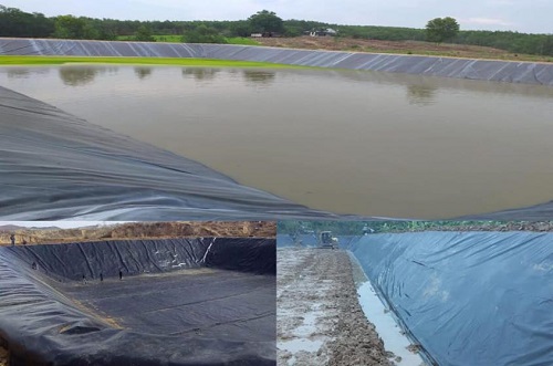 mang chong tham5.jpg