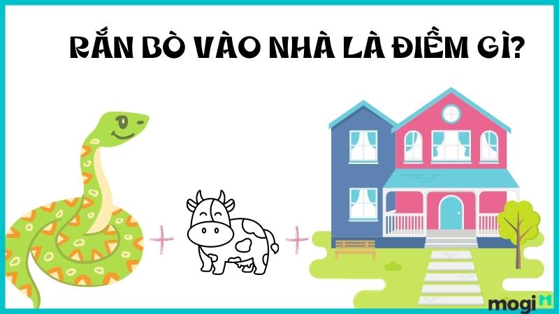 ran-vao-nha-la-diem-gi.jpg ran-vao-nha-la-diem-gi.jpg