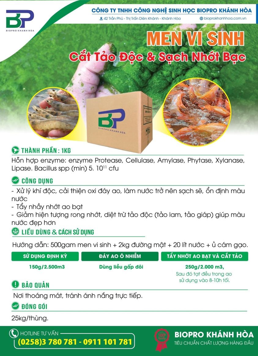 men vi sinh cắt tảo độc và sạch nhớt bạc.jpg