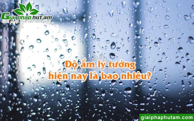do-am-ly-tuong.jpg do-am-ly-tuong.jpg