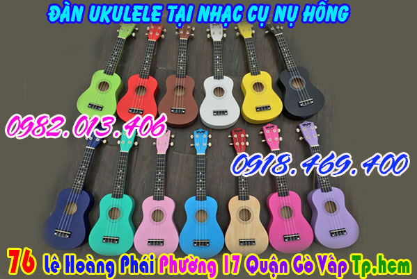 dan-ukulele-8.jpg