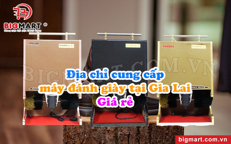 dia-chi-may-danh-giay-tai-gia-lai.jpg