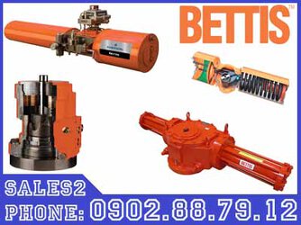 Bộ truyền động thủy lực BETTIS 2.jpg