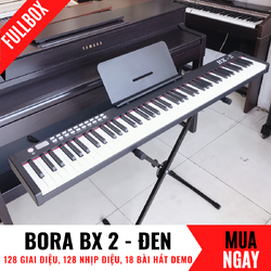 dan_piano_bora_bx_2 (2).png