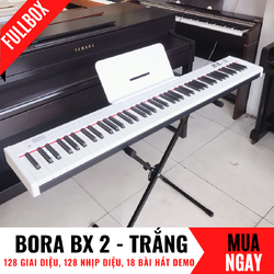 dan_piano_bora_bx_2 (3).png