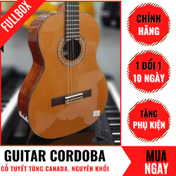 guitar_cordoba.png