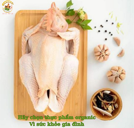 Hãy chọn thực phẩm organic Vì sức khỏe gia đình.png
