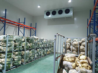 vietnam-faces-shortage-of-cold-storage-warehouses.jpg
