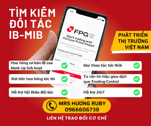 tìm kiếm đối tác ib.jpg