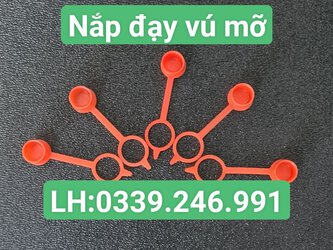 nap-day-vu-mo.jpg
