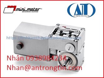 mini motor việt nam.jpg